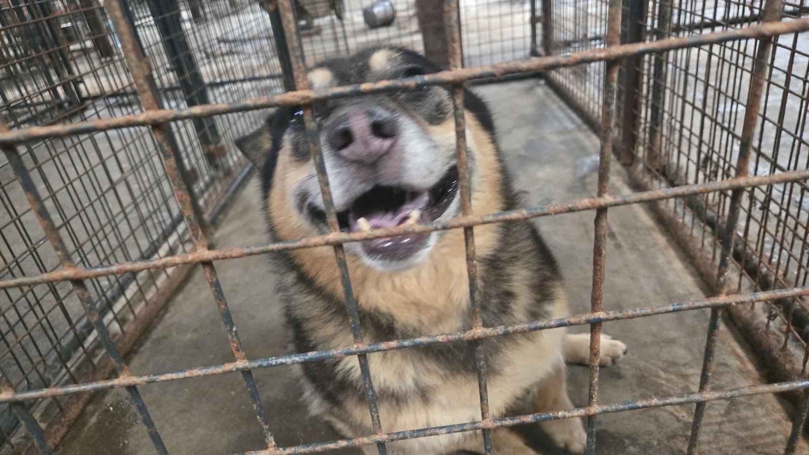 Ruby — thumbnail 3