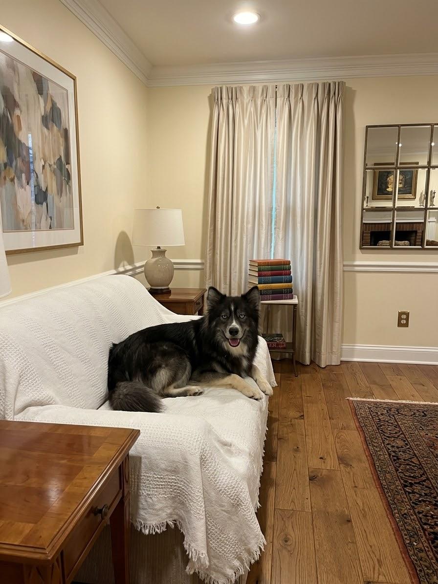 Enlarge Huxley, a Adoptable Siberian Husky in La Motte, IA image 2/4