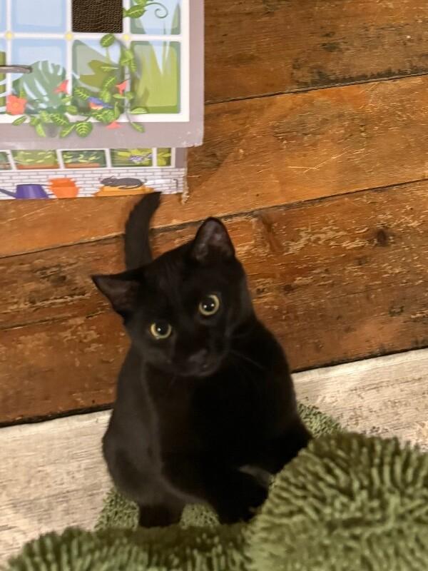 Gilligan — thumbnail 2