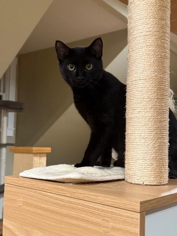 Gilligan — thumbnail 4