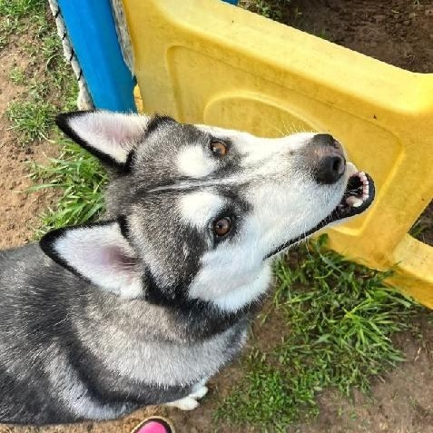 Max 3