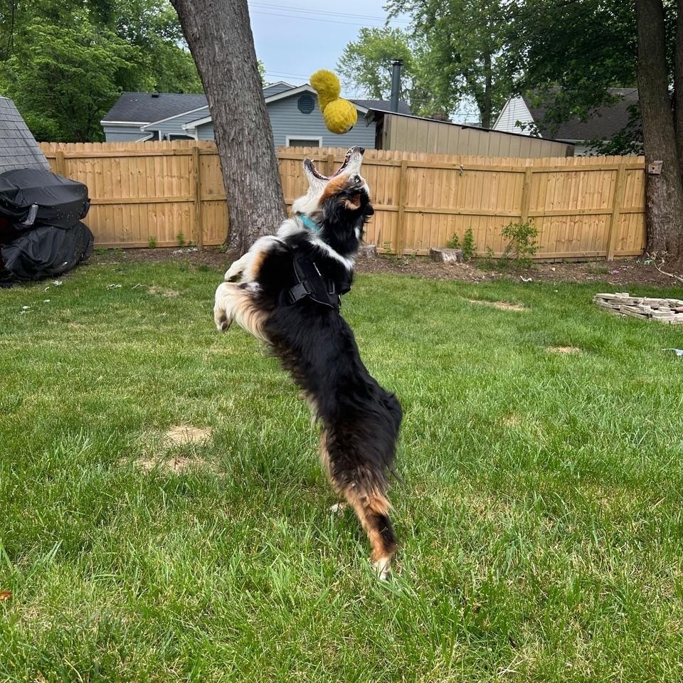 Aero