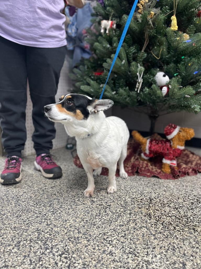 Undersea Gal Millie thumbnail 3