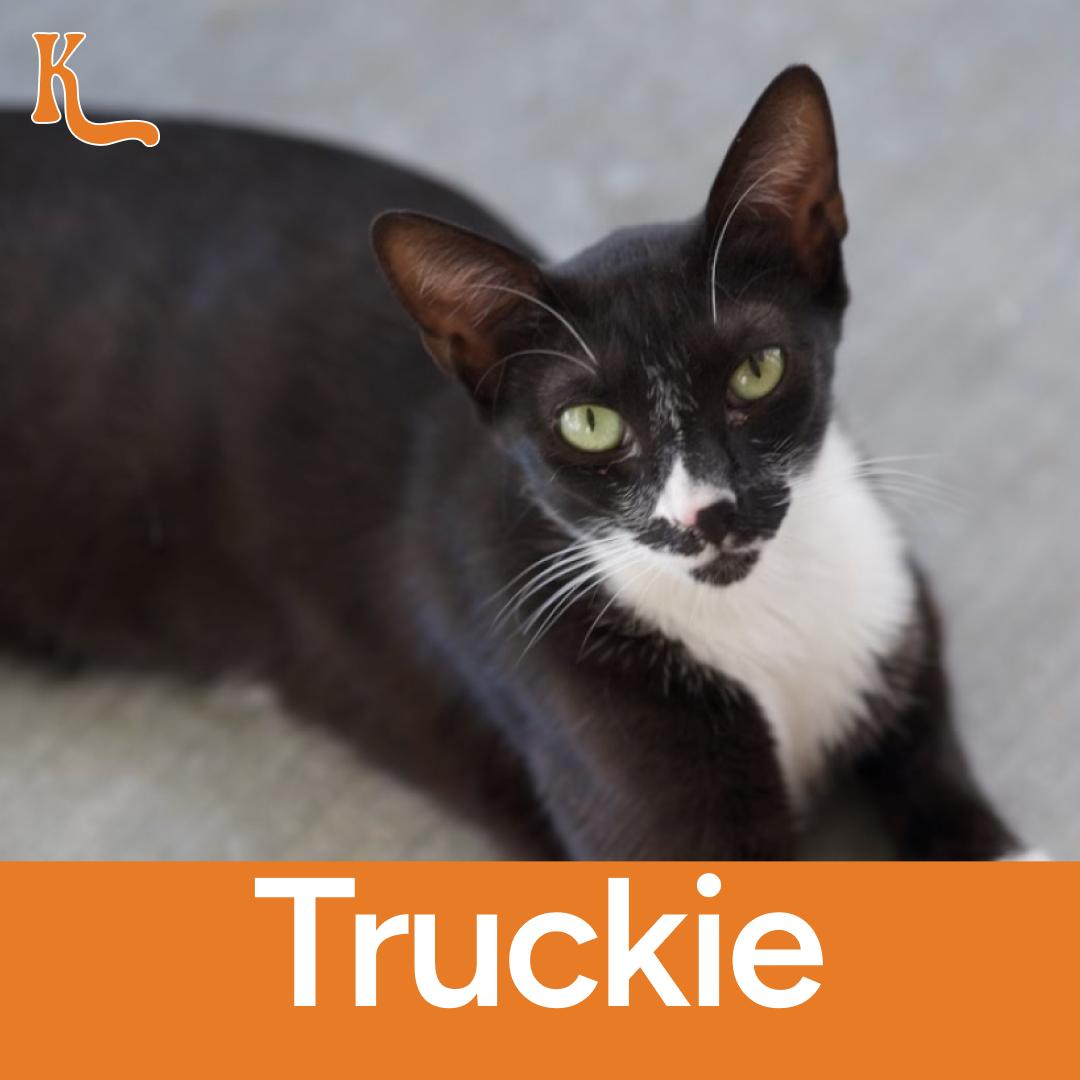 Truckie