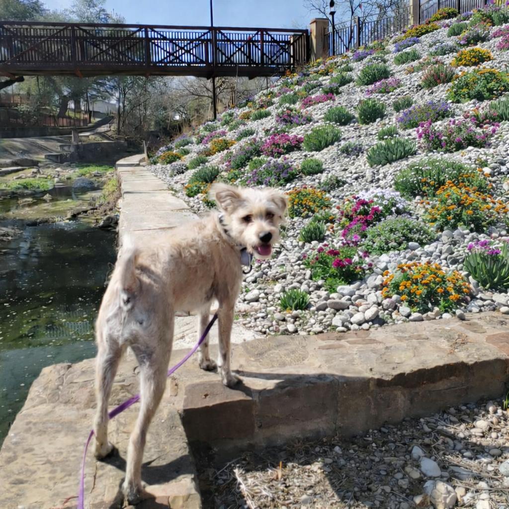 Laverne — thumbnail 2