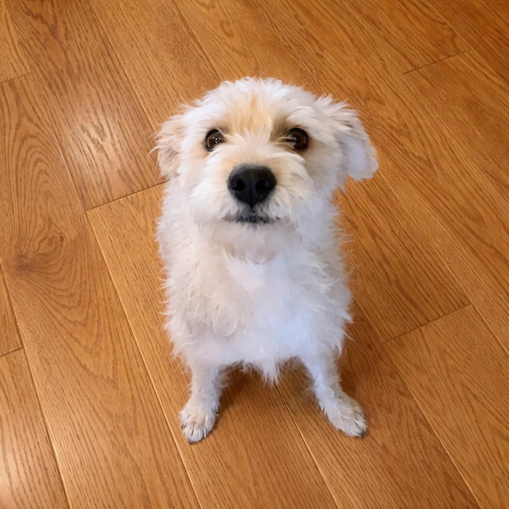 Laverne — thumbnail 4