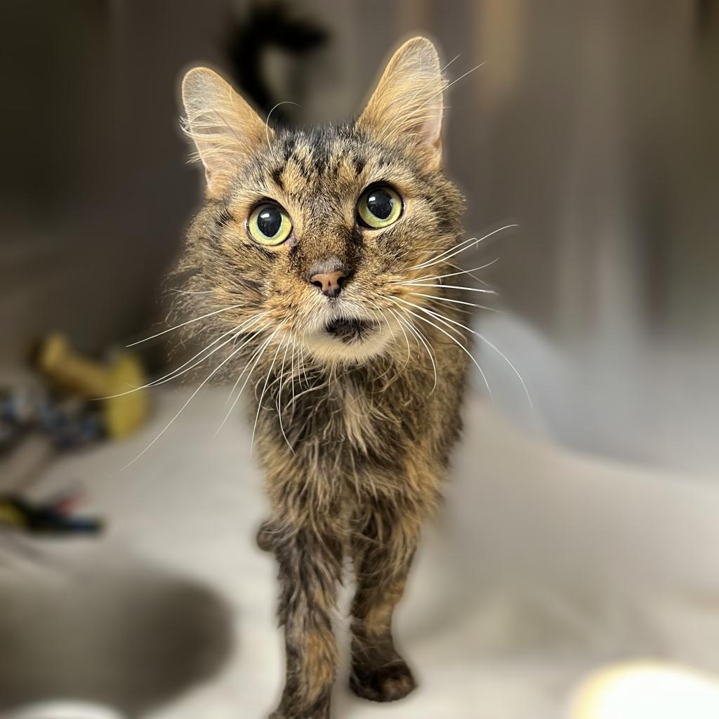 Church — thumbnail 2