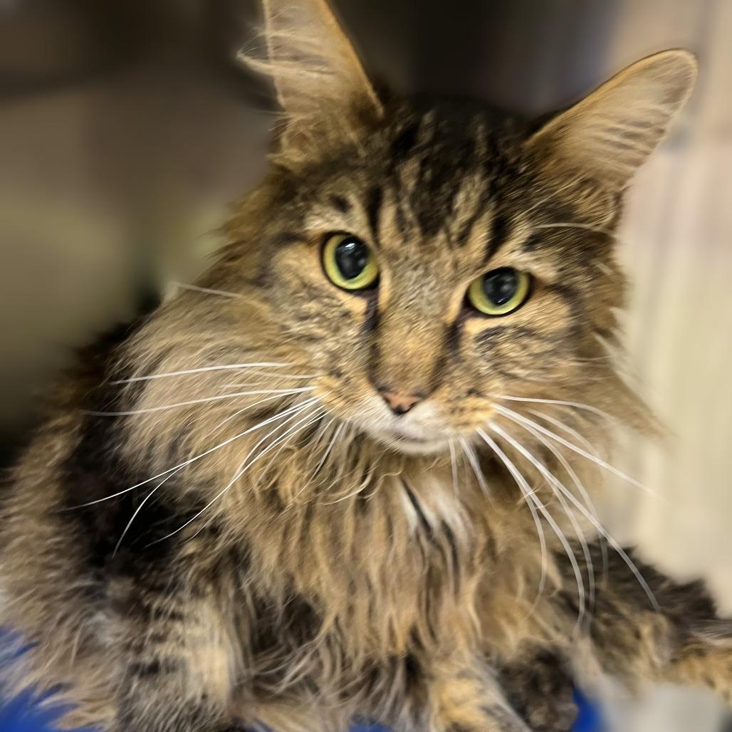 Church — thumbnail 4