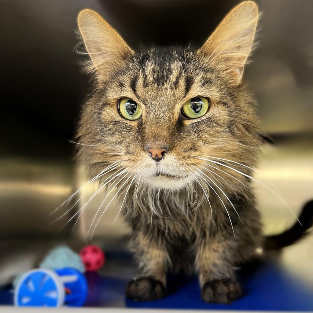 Church — thumbnail 5