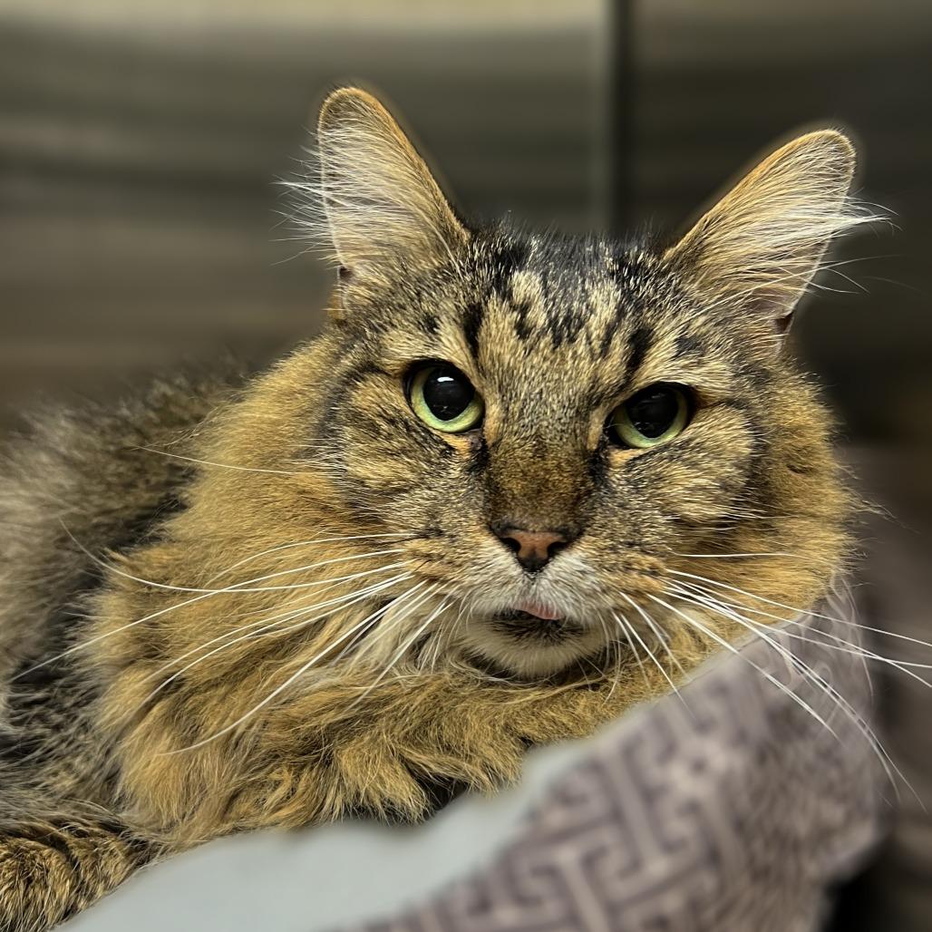 Church — thumbnail 6