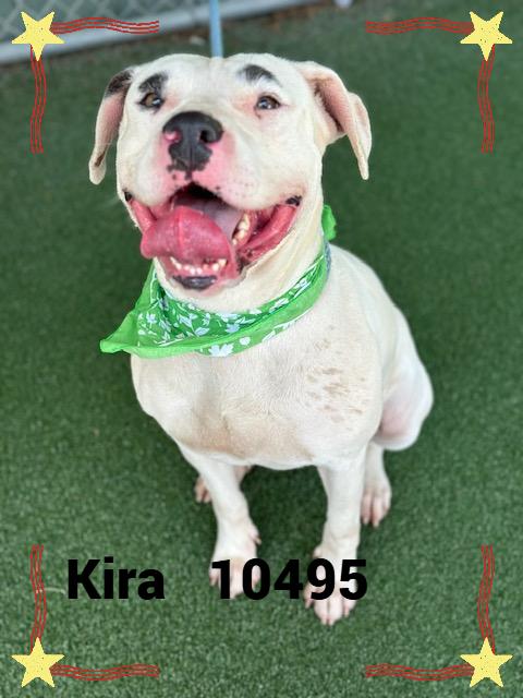 KIRA