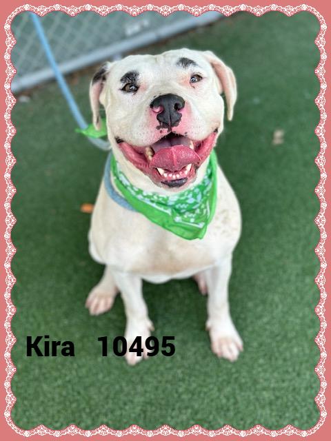 KIRA
