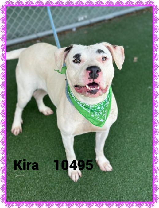 KIRA
