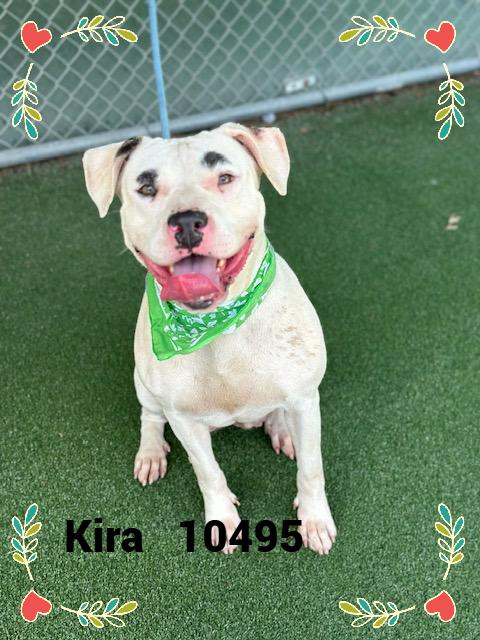 KIRA
