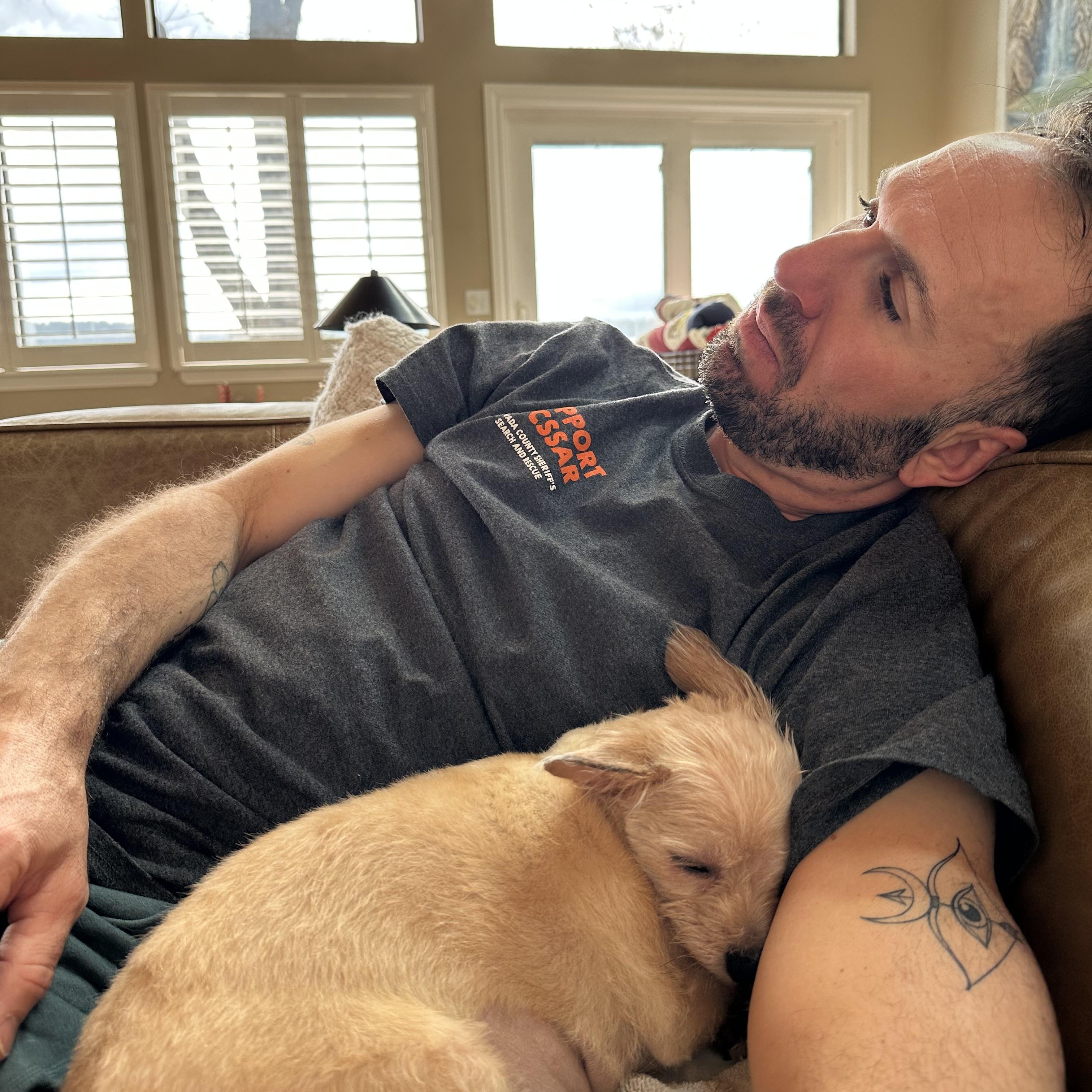 Enlarge Peanut- Lovebug, a ADOPTABLE Terrier in Grass Valley, CA image 3/5