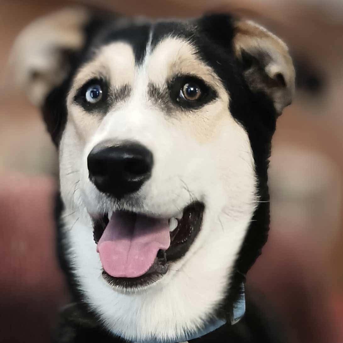 Stormi (20250501-01) — thumbnail 2