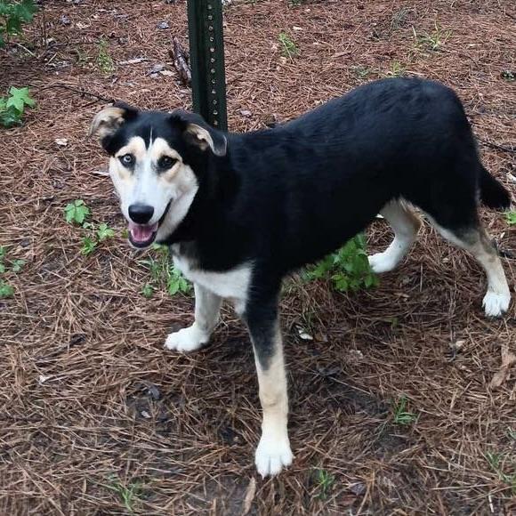 Stormi (20250501-01) — thumbnail 4