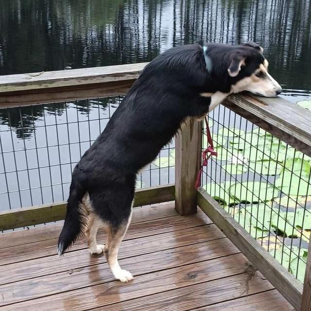 Stormi (20250501-01) — thumbnail 6