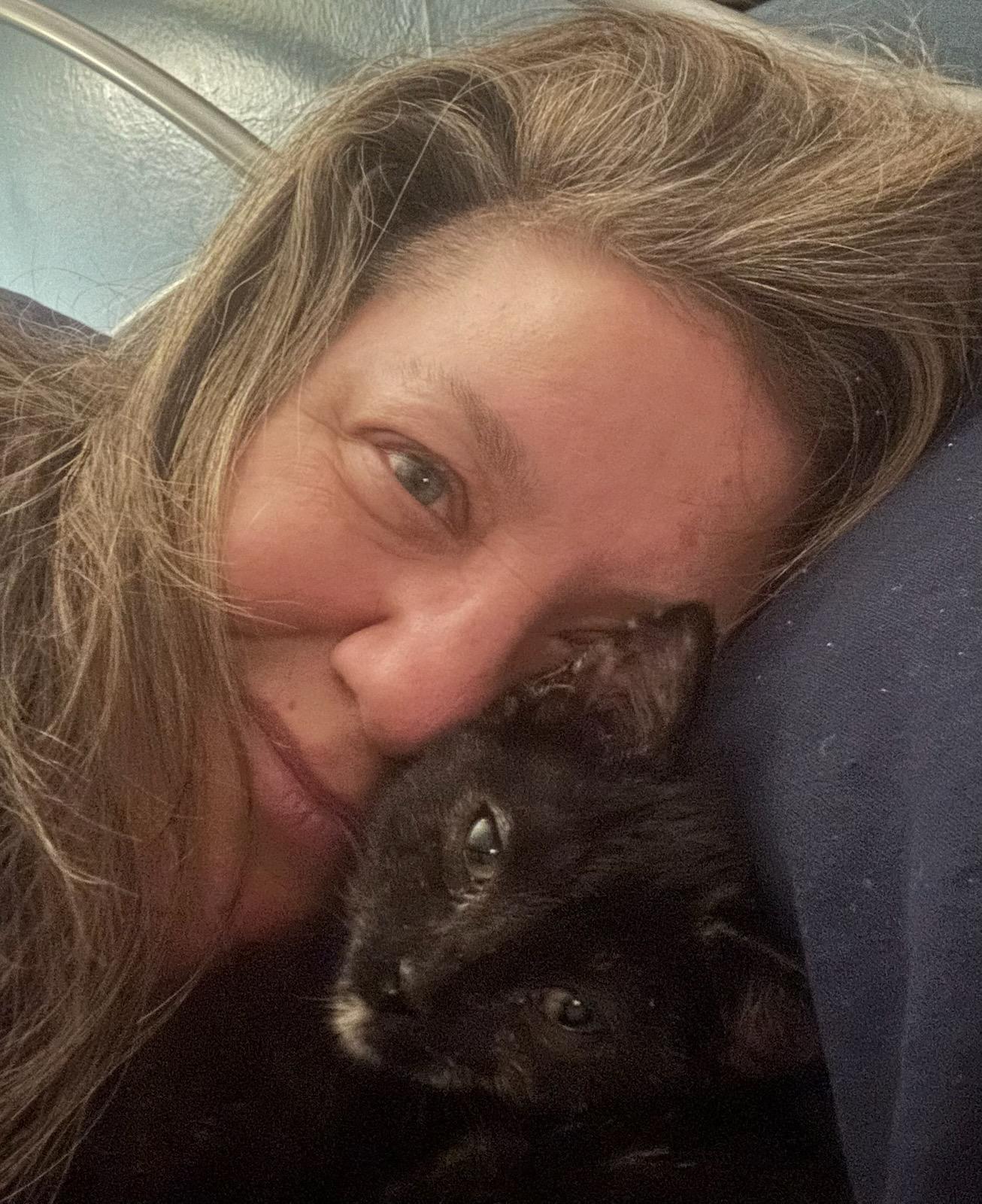 Enlarge Miss Scarlett, a Adopted mixed breed in Longmont, CO image 2/3