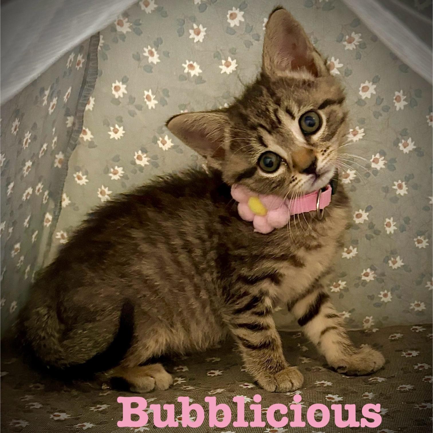 Bubblicious