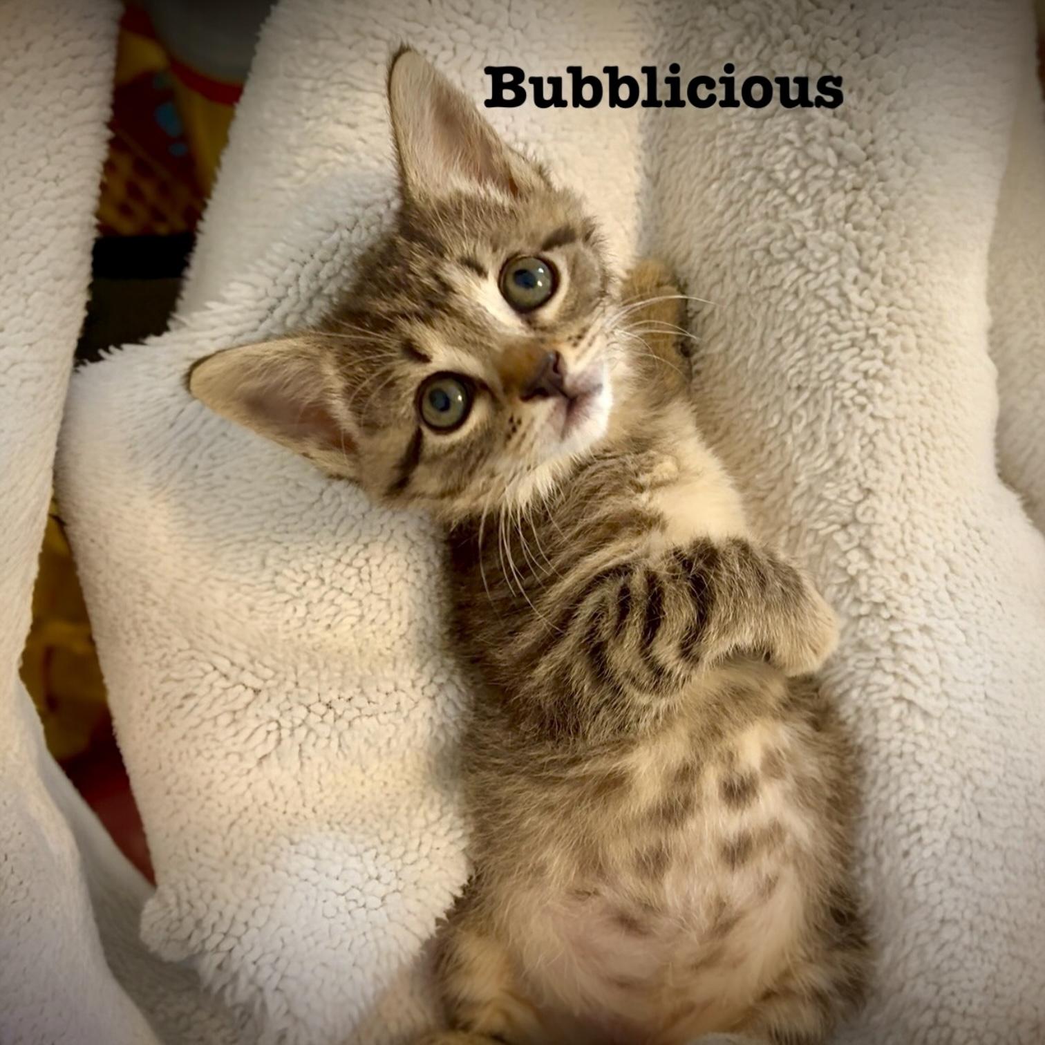 Bubblicious