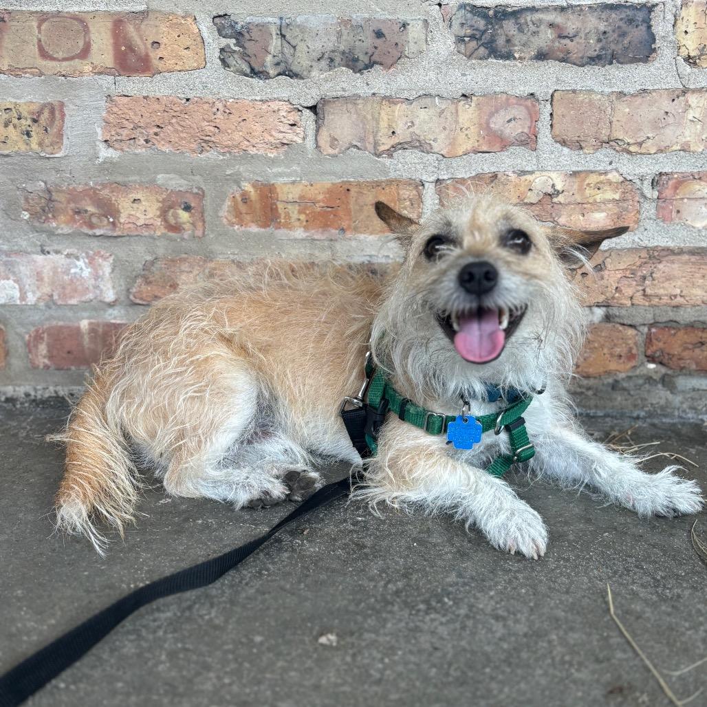 Arty — thumbnail 3