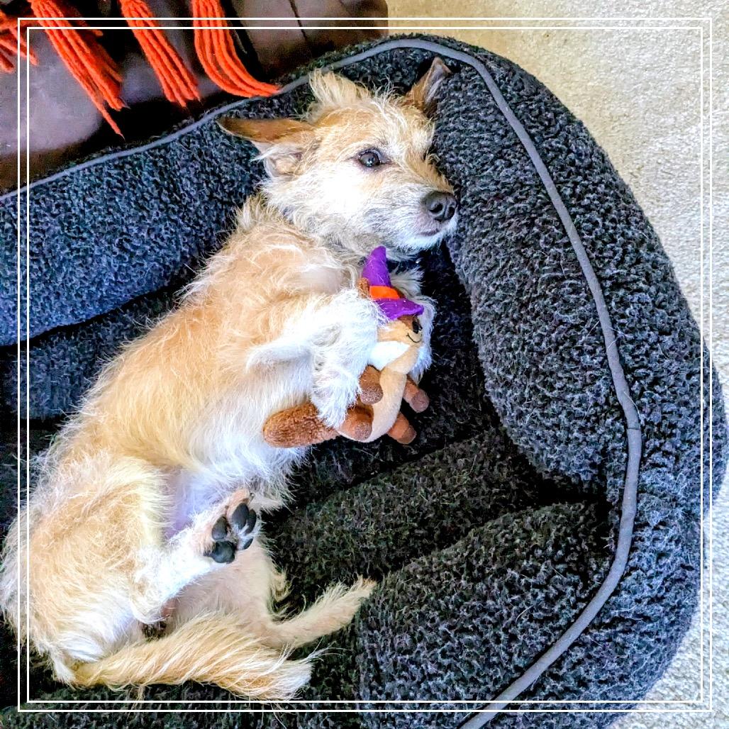 Arty — thumbnail 5