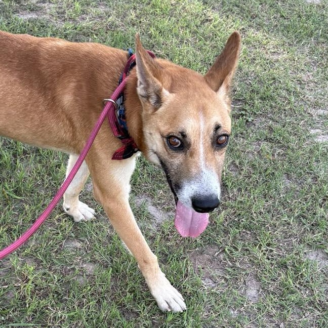 Flako — thumbnail 5