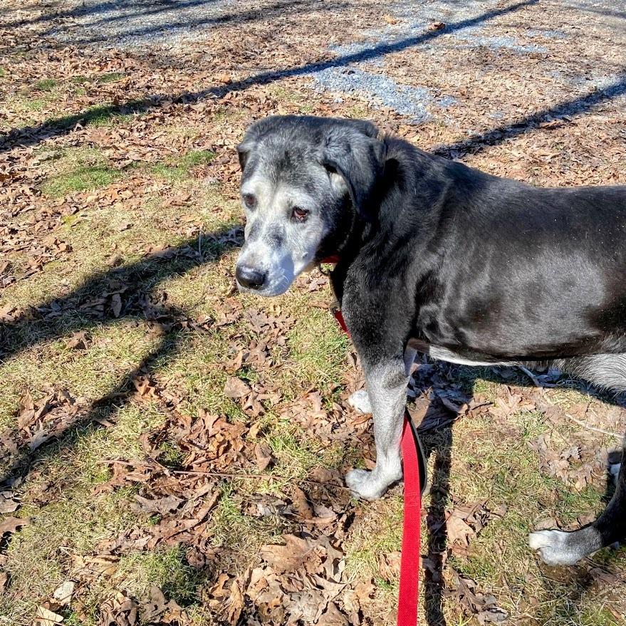 Allie — thumbnail 3