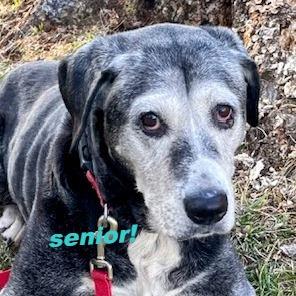 Allie — thumbnail 5