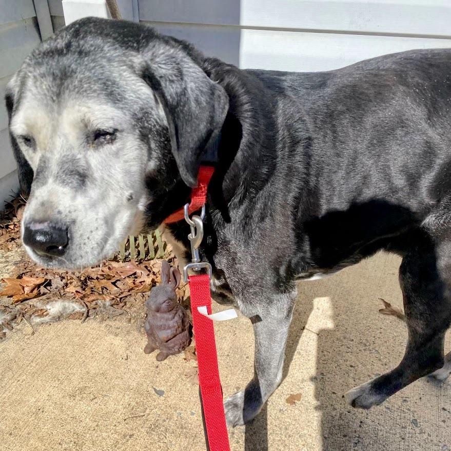 Allie — thumbnail 6