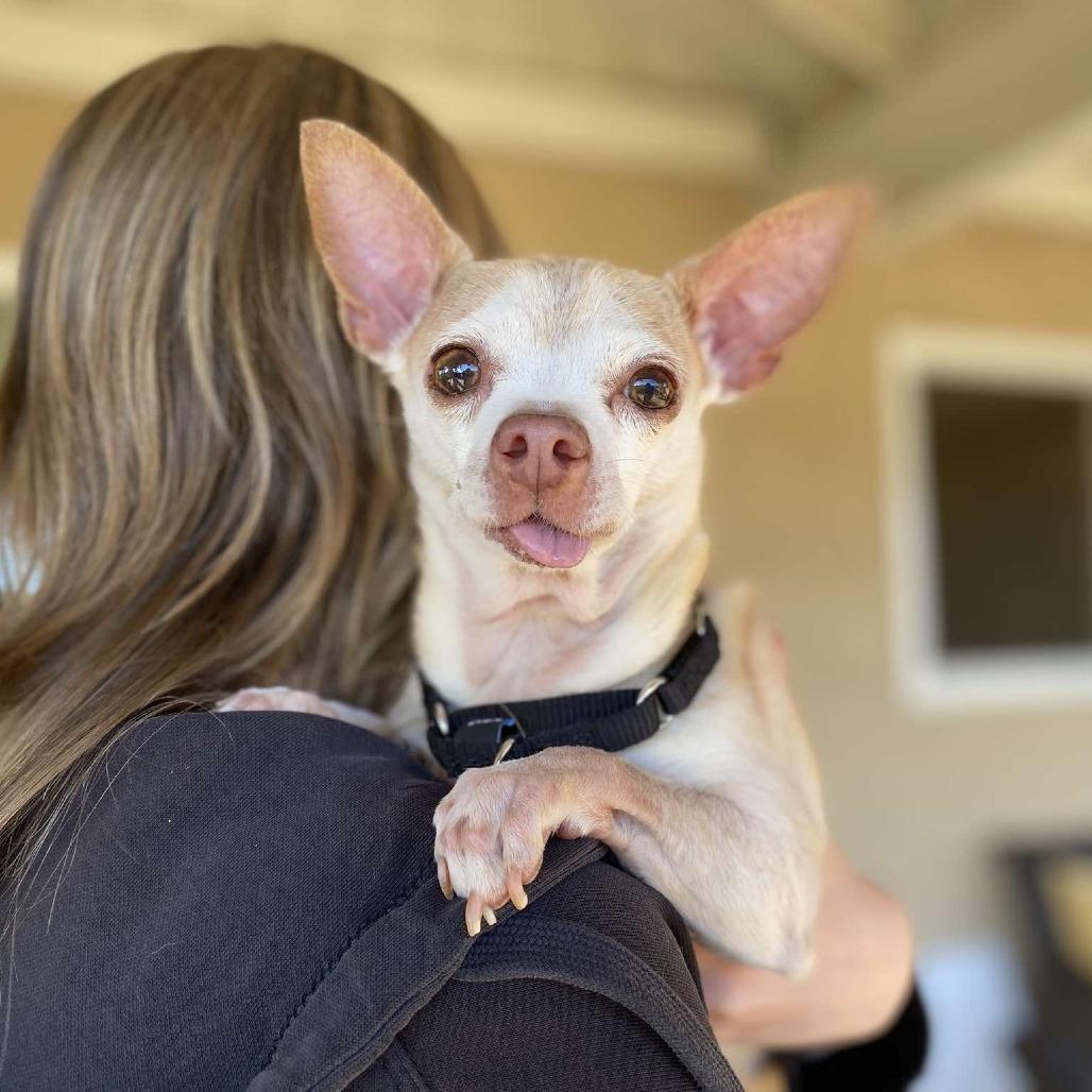 Bruno — thumbnail 3