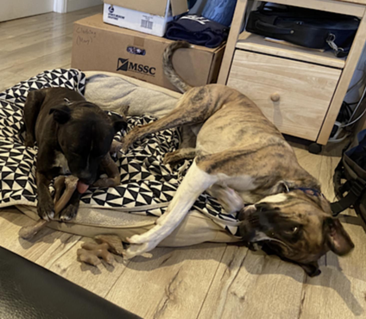 Johnny Cash — thumbnail 2