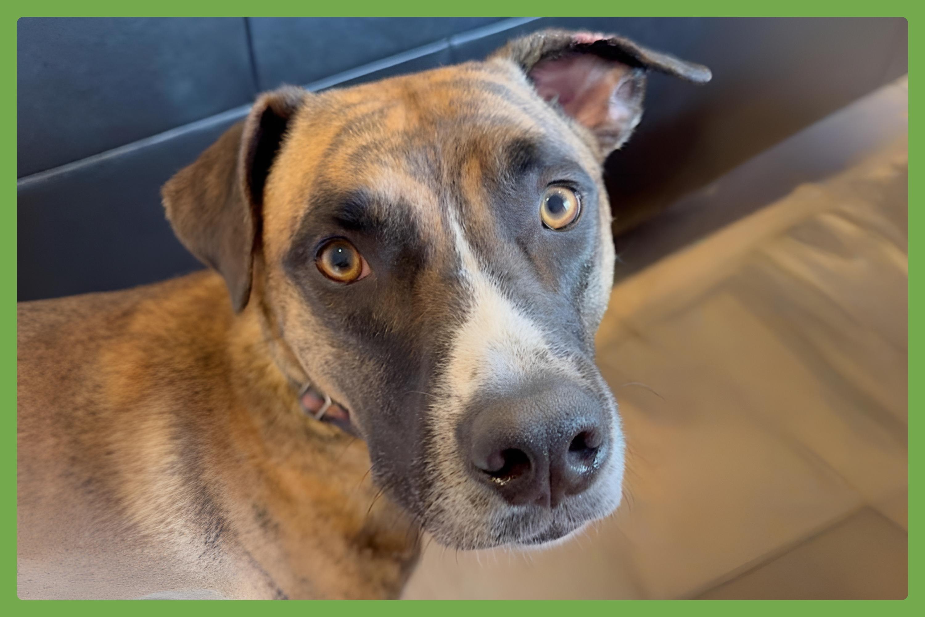 Johnny Cash — thumbnail 4