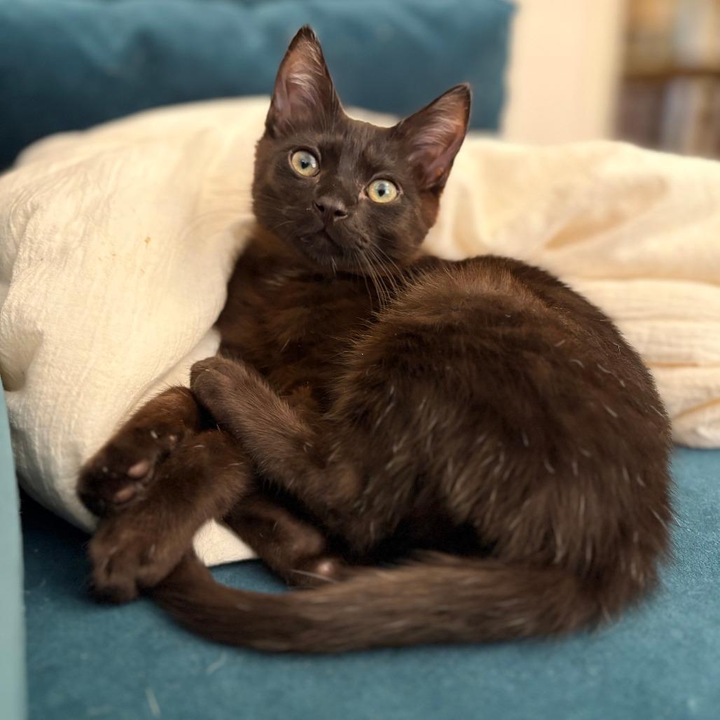 Button — thumbnail 2