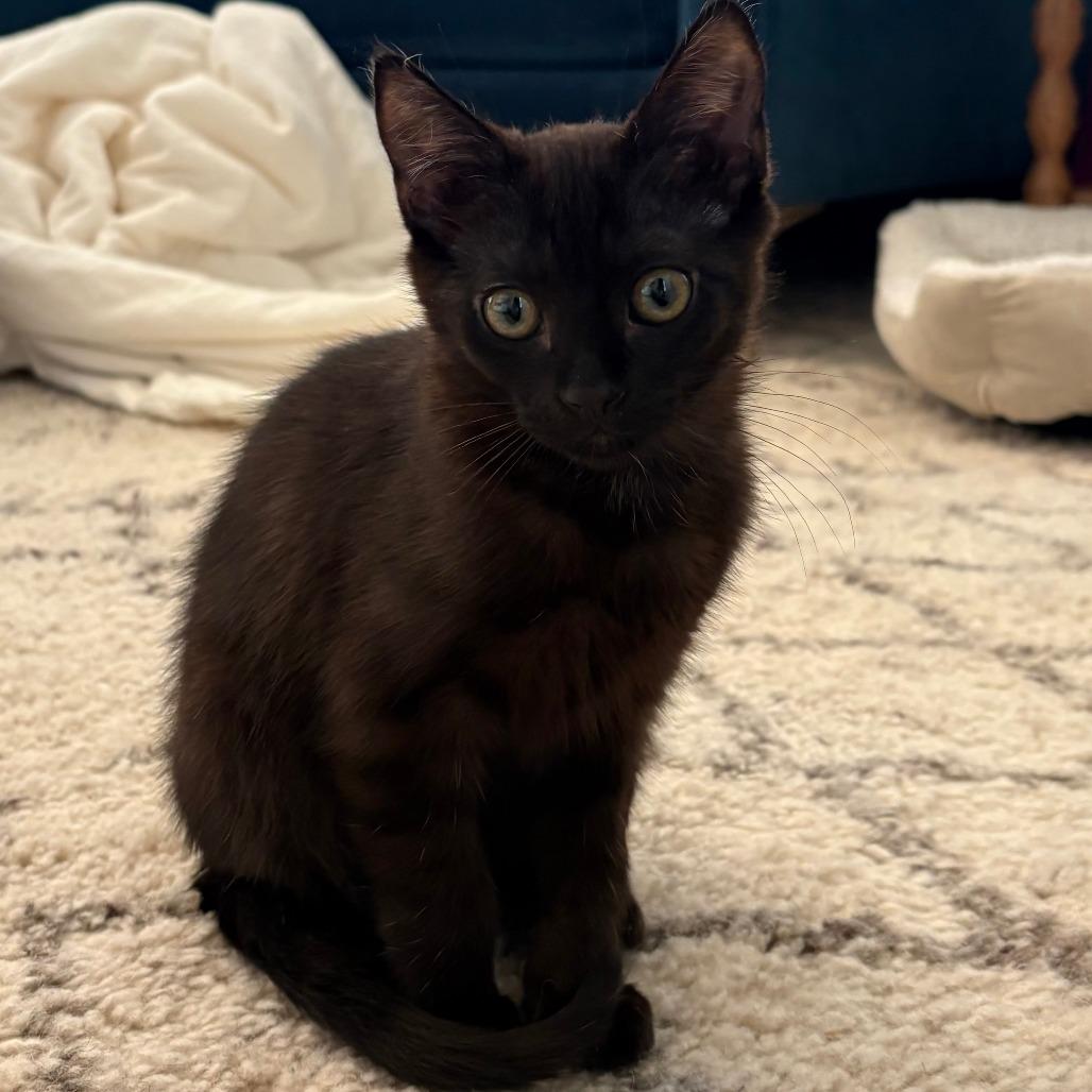 Button — thumbnail 3