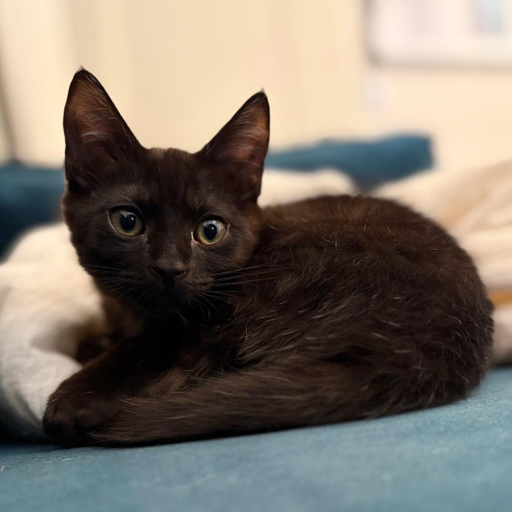 Button — thumbnail 4