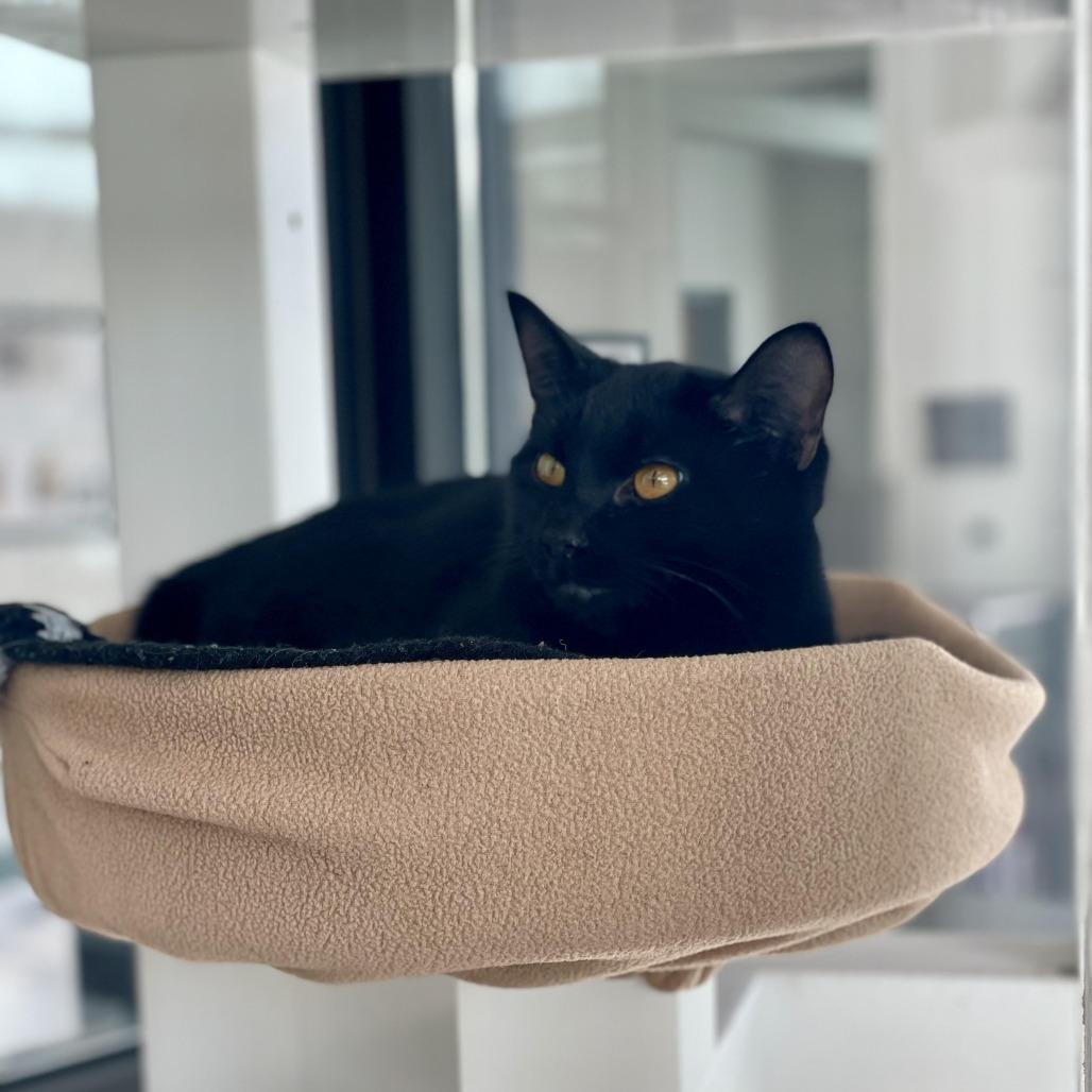 Cork — thumbnail 2