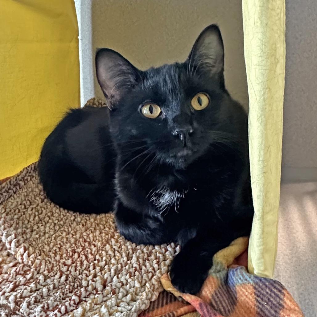 Cork — thumbnail 3