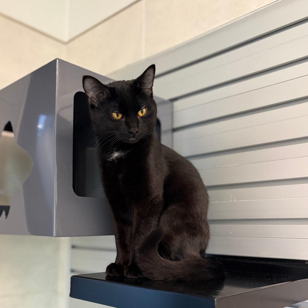 Cork — thumbnail 4