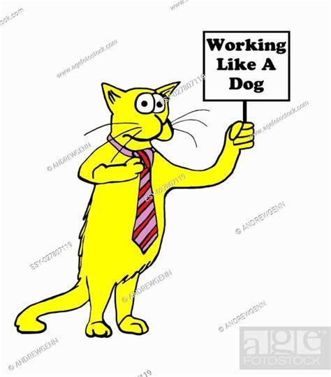 Working Cats (Pest Control) photo 4
