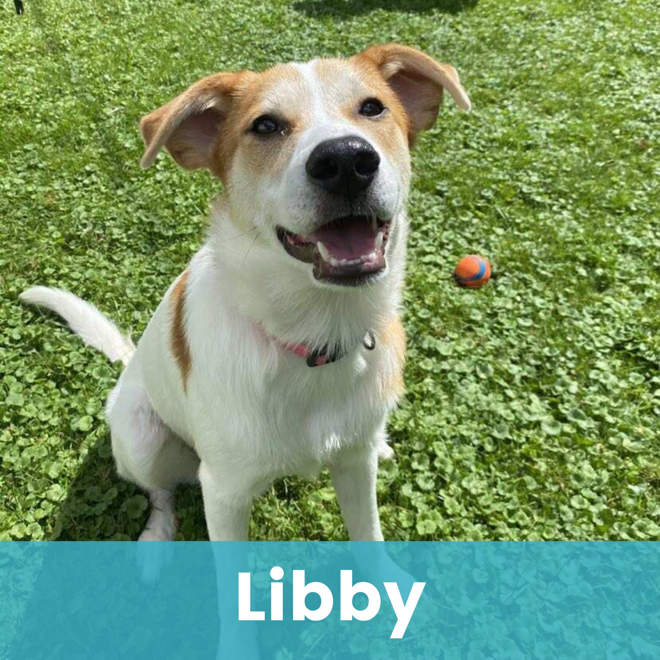 Libby