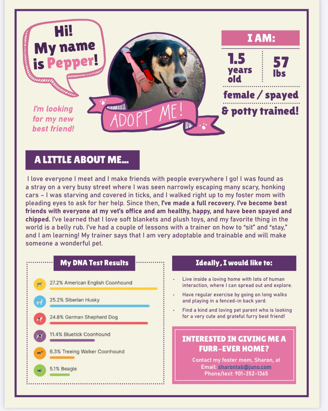 Pepper, a Adoptable mixed breed in Covington, TN image 3/5