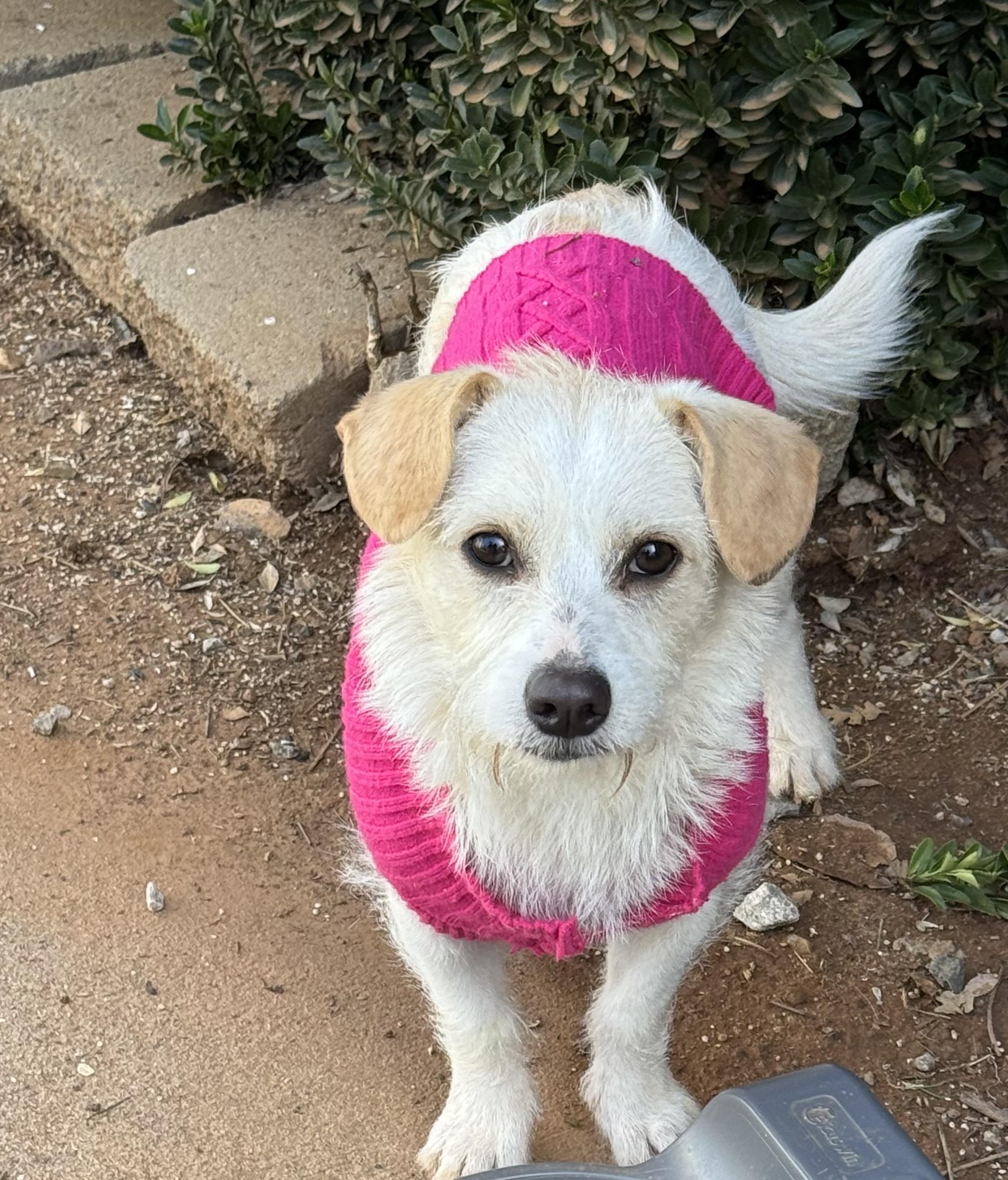 Riesling thumbnail 2