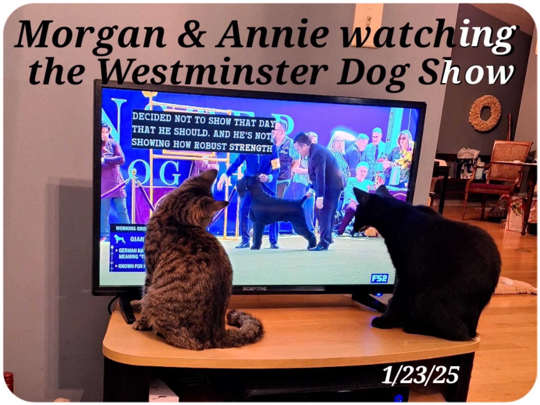 Annie And Morgan thumbnail 6