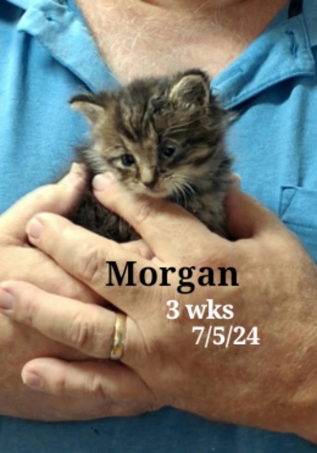 Annie And Morgan thumbnail 2