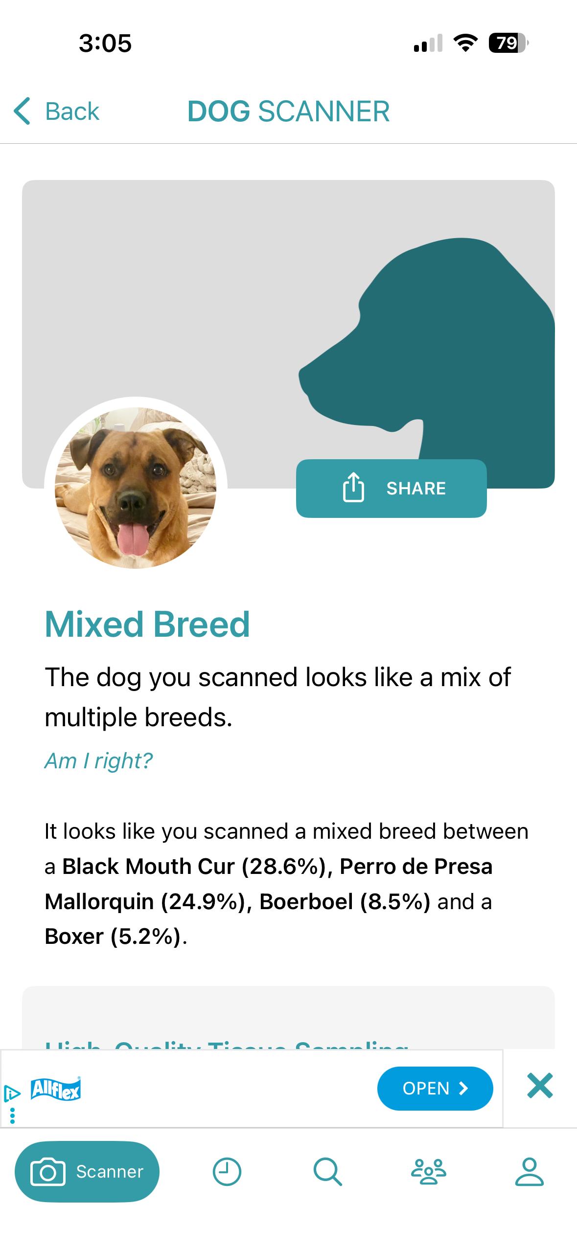 Enlarge Brody, a ADOPTABLE mixed breed in Torrance, CA image 6/6