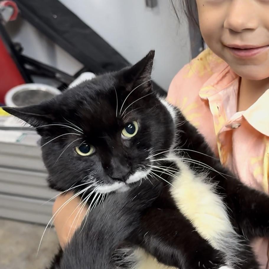 Little T — thumbnail 3