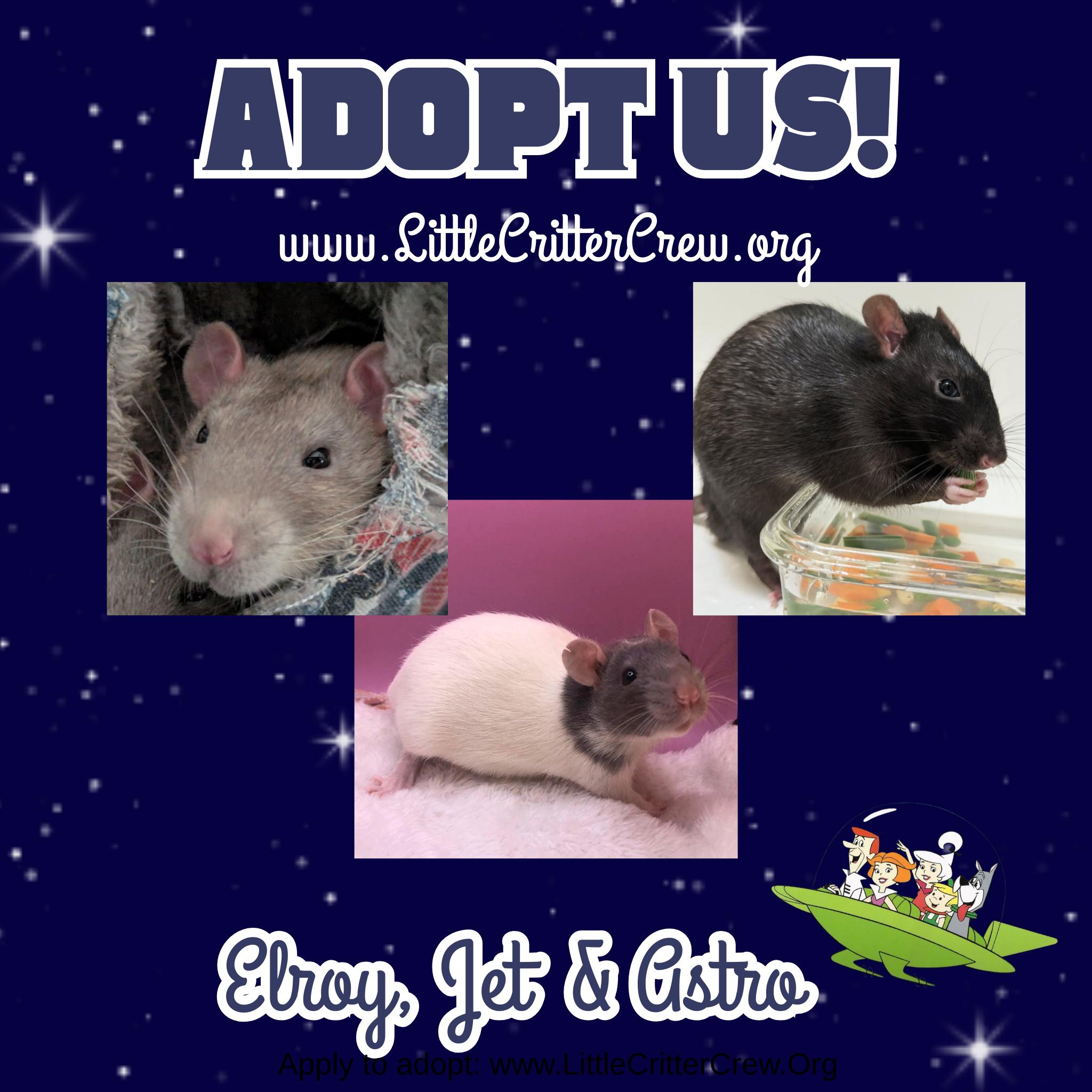 Elroy, Jet & Astro