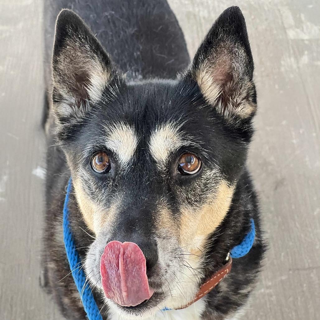 Denice — thumbnail 2